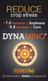 Dynamino Ad (image for) Dynamino Ad